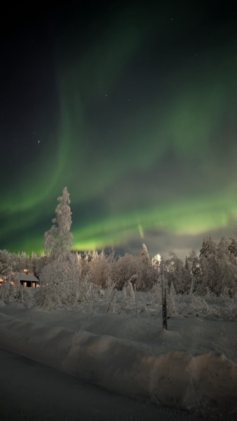 Se vuoi essere sicuro di vedere l'aurora in Lapponia — foto 8
