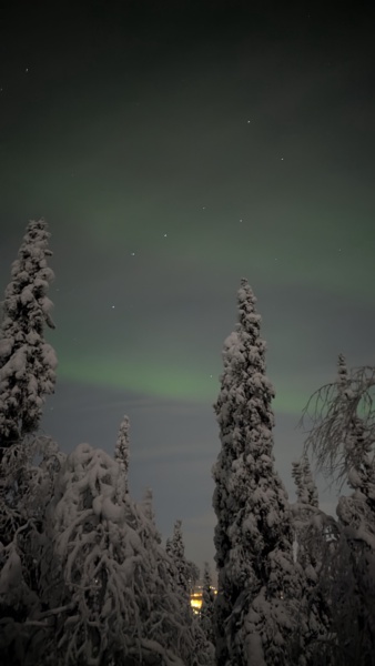 Se vuoi essere sicuro di vedere l'aurora in Lapponia — foto 10