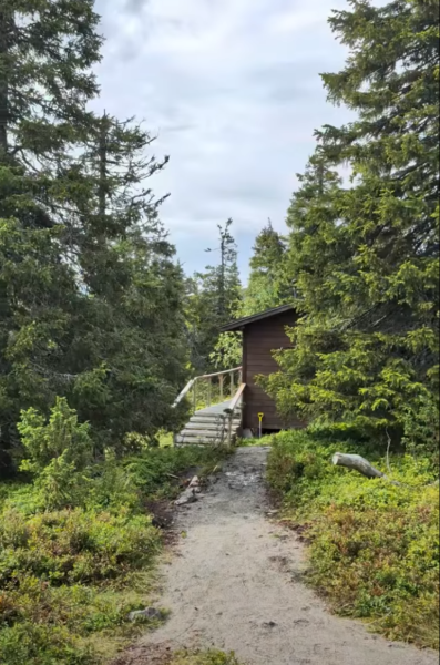 Nel Parco Nazionale Pallas-Yllästunturi: trekking sul Totovaara e pranzo sul fuoco — foto 2