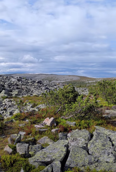 Nel Parco Nazionale Pallas-Yllästunturi: trekking sul Totovaara e pranzo sul fuoco — foto 3