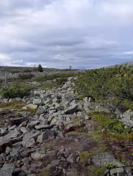 Nel Parco Nazionale Pallas-Yllästunturi: trekking sul Totovaara e pranzo sul fuoco — foto 4
