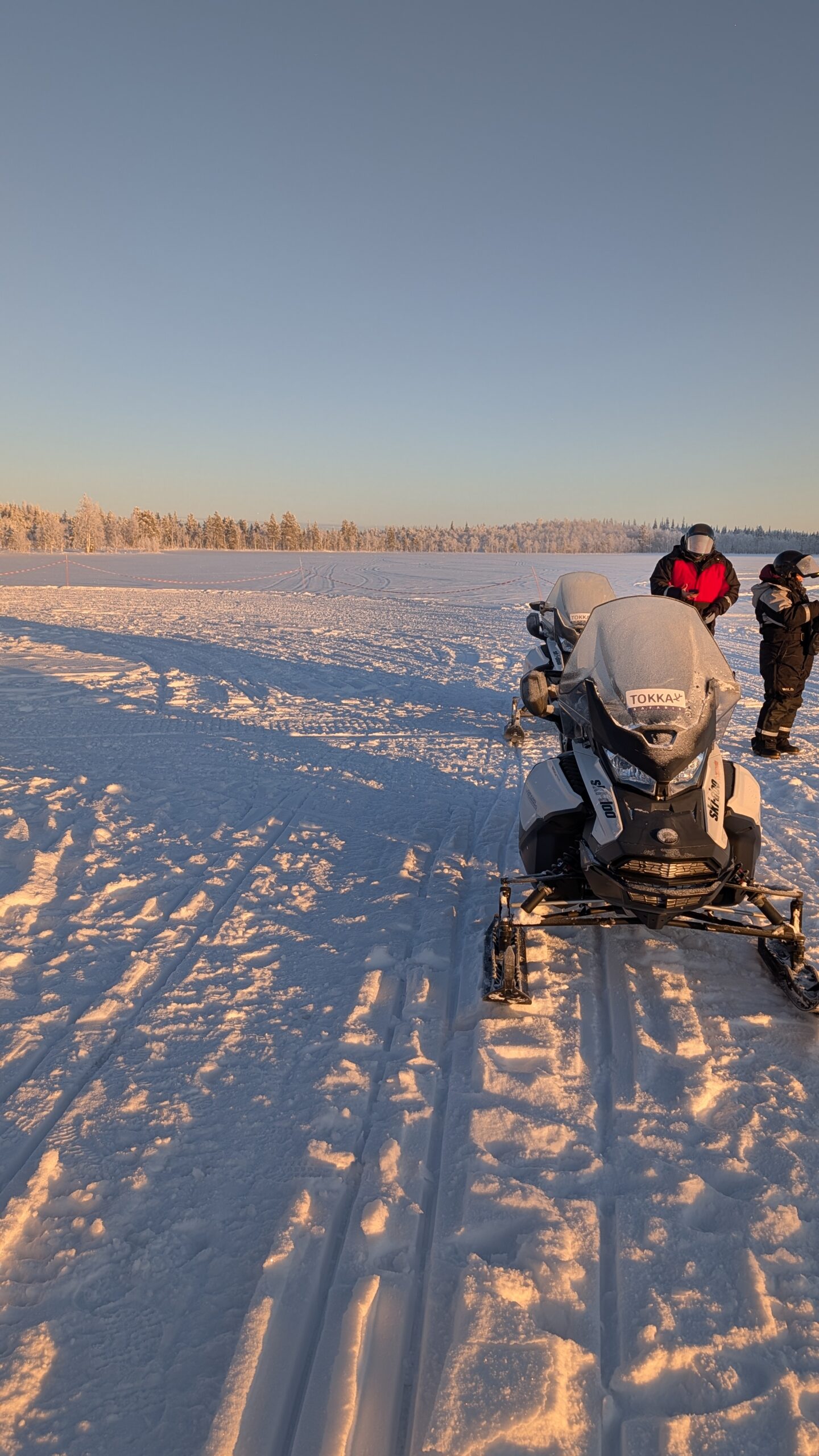 Avventura in motoslitta (5 ore)