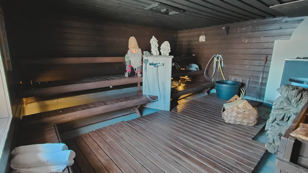 Sauna tradizionale privata con Jacuzzi — foto 2