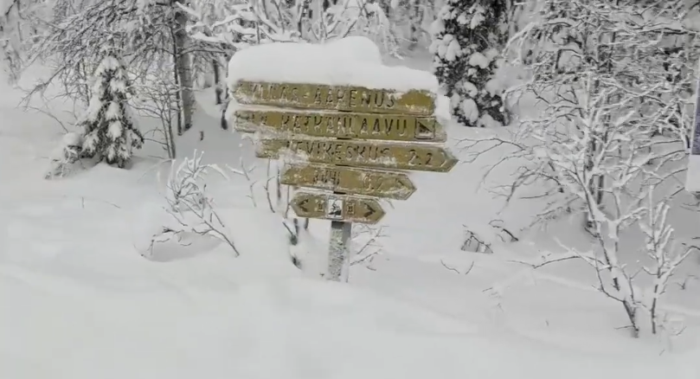 Esplorazione invernale in Lapponia: sentieri, laavu e tradizioni