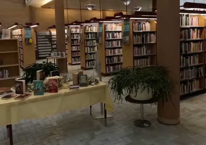 La biblioteca dei sogni esiste: viaggio nei servizi pubblici in Finlandia