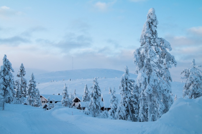 Rovaniemi o Levi: Quale Scegliere per il Tuo Viaggio in Lapponia?